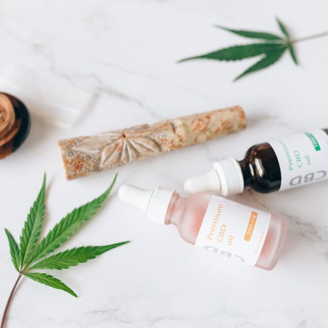 CBD SEO UK in 2026: The Honest Read on Ranking Hemp Brands Under MHRA and Novel Food Rules